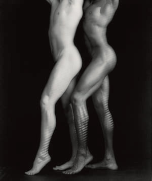 Robert Mapplethorpe 96.4373 5/31/02 Ellen Labenski