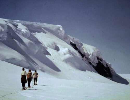 MVEFF: TIME AND WATER